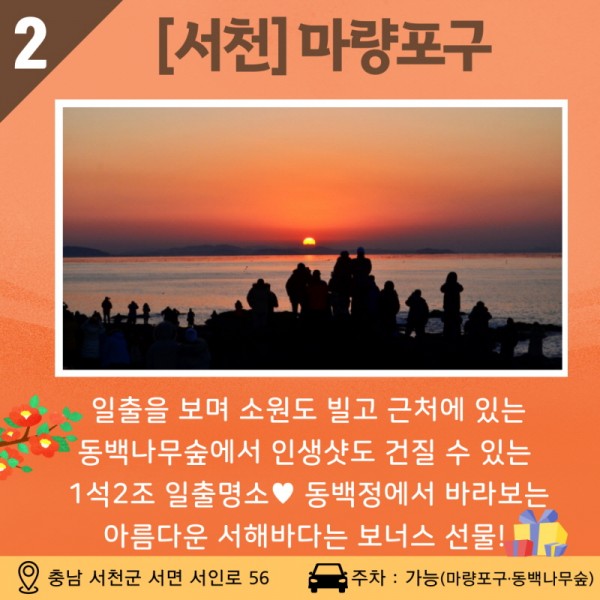 02 [서천] 마량포구 일출을 보며 소원도 빌고 근처에 있는 동백나무숲에서 인생샷도 건질 수 있는 1석 2조 일출명소! 동백정에서 바라보는 아름다운 서해바다는 보너스 선물! 주소: 충남 서천군 서면 서인로 56 / 주차 가능(마량포구, 동백나무숲)